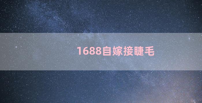 1688自嫁接睫毛