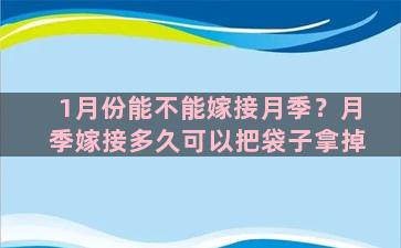 1月份能不能嫁接月季？月季嫁接多久可以把袋子拿掉