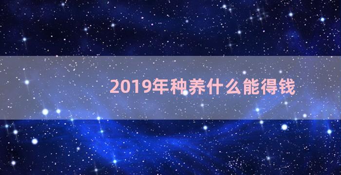 2019年种养什么能得钱