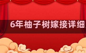 6年柚子树嫁接详细方法