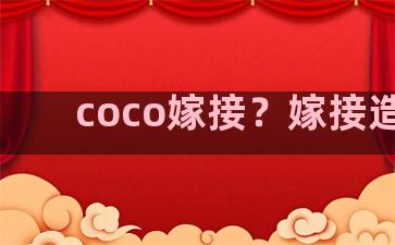 coco嫁接？嫁接造型