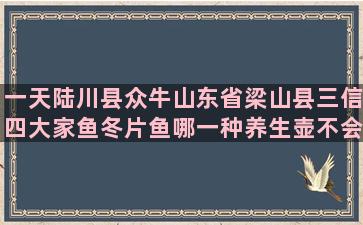 一天陆川县众牛山东省梁山县三信四大家鱼冬片鱼哪一种养生壶不会糊底处理