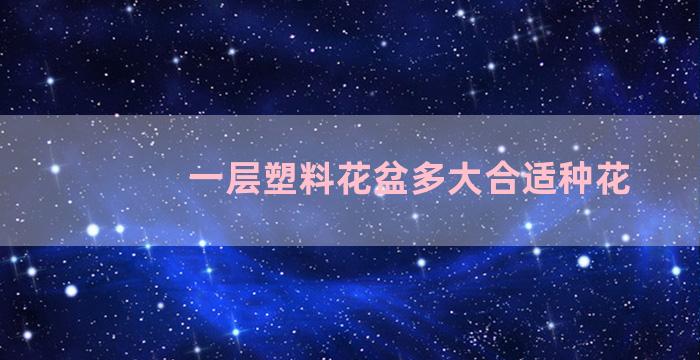 一层塑料花盆多大合适种花