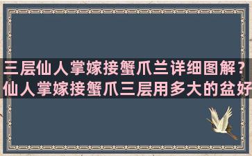 三层仙人掌嫁接蟹爪兰详细图解？仙人掌嫁接蟹爪三层用多大的盆好