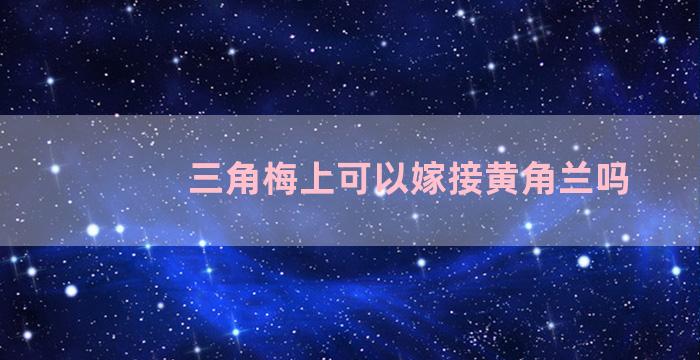 三角梅上可以嫁接黄角兰吗