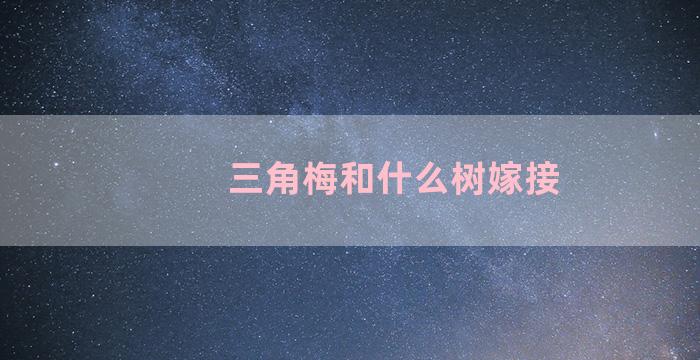 三角梅和什么树嫁接