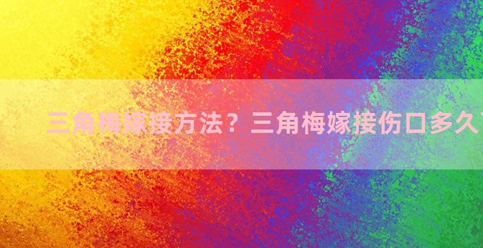 三角梅嫁接方法？三角梅嫁接伤口多久可以愈合