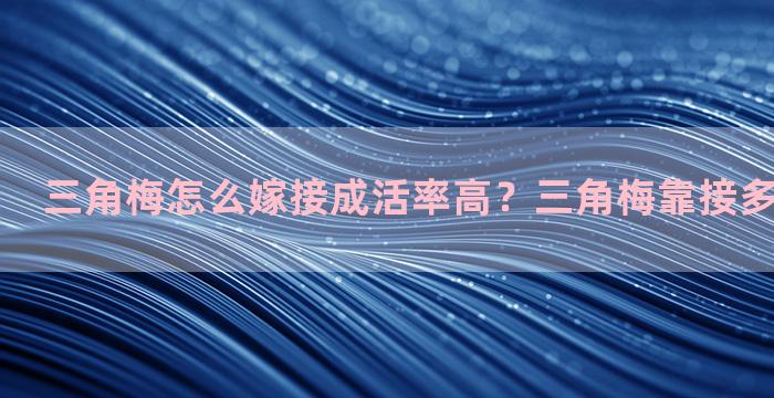 三角梅怎么嫁接成活率高？三角梅靠接多久可以截枝