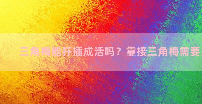 三角梅能扦插成活吗？靠接三角梅需要多久才活