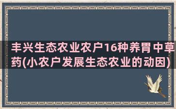 丰兴生态农业农户16种养胃中草药(小农户发展生态农业的动因)