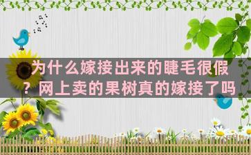 为什么嫁接出来的睫毛很假？网上卖的果树真的嫁接了吗