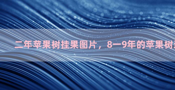 二年苹果树挂果图片，8一9年的苹果树还能嫁接吗