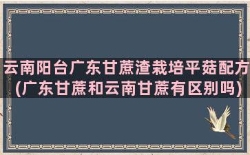 云南阳台广东甘蔗渣栽培平菇配方(广东甘蔗和云南甘蔗有区别吗)