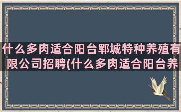 什么多肉适合阳台郓城特种养殖有限公司招聘(什么多肉适合阳台养)