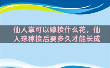 仙人掌可以嫁接什么花，仙人球稼接后要多久才能长成