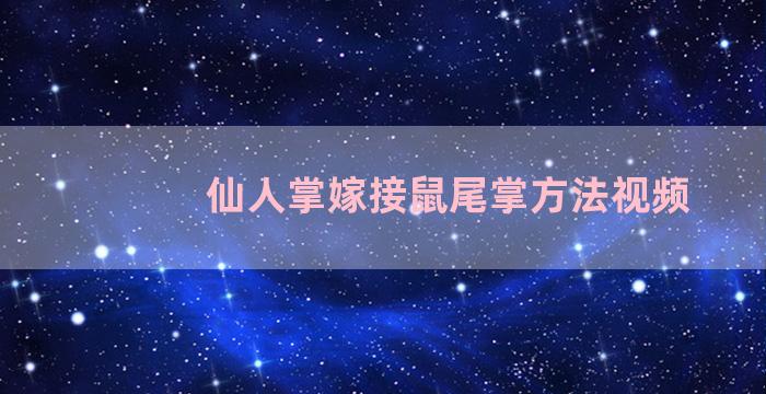 仙人掌嫁接鼠尾掌方法视频