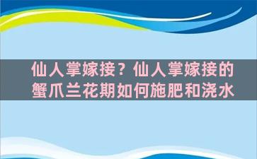 仙人掌嫁接？仙人掌嫁接的蟹爪兰花期如何施肥和浇水