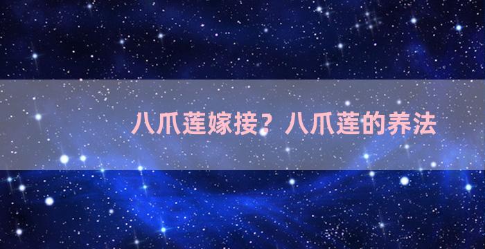 八爪莲嫁接？八爪莲的养法