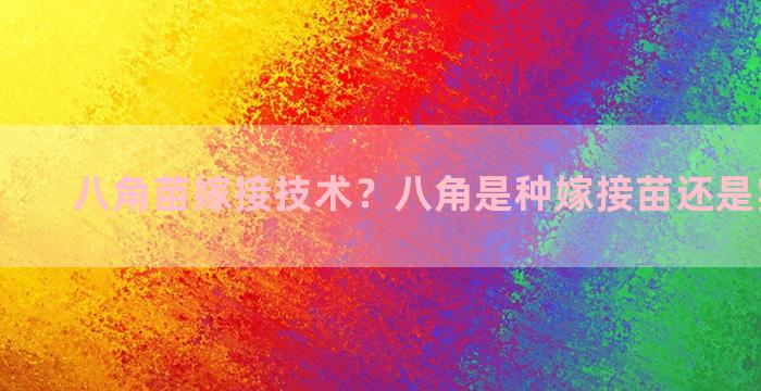 八角苗嫁接技术？八角是种嫁接苗还是实生苗好