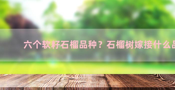 六个软籽石榴品种？石榴树嫁接什么品种好