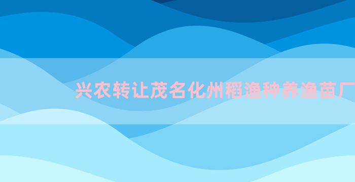 兴农转让茂名化州稻渔种养渔苗厂