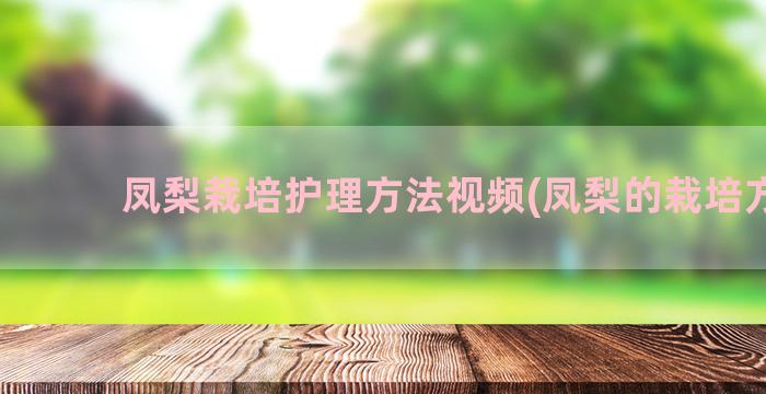 凤梨栽培护理方法视频(凤梨的栽培方法)