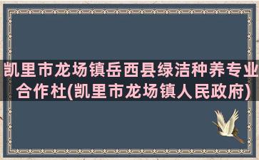 凯里市龙场镇岳西县绿洁种养专业合作杜(凯里市龙场镇人民政府)