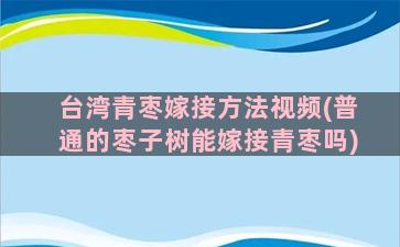 台湾青枣嫁接方法视频(普通的枣子树能嫁接青枣吗)