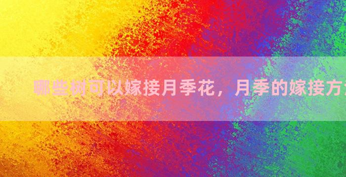 哪些树可以嫁接月季花，月季的嫁接方法和步骤