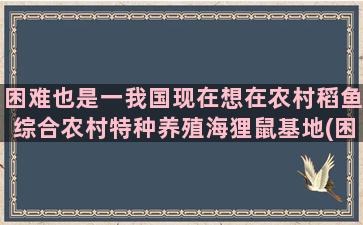 困难也是一我国现在想在农村稻鱼综合农村特种养殖海狸鼠基地(困难也是一笔财富)