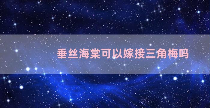 垂丝海棠可以嫁接三角梅吗