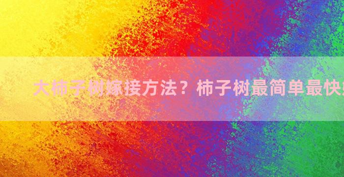 大柿子树嫁接方法？柿子树最简单最快嫁接方法