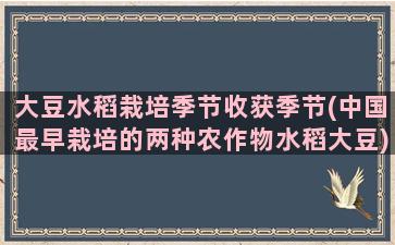 大豆水稻栽培季节收获季节(中国最早栽培的两种农作物水稻大豆)