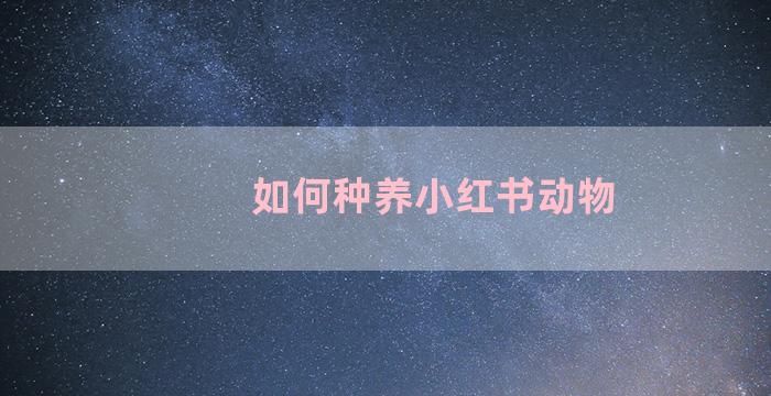 如何种养小红书动物