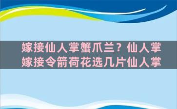 嫁接仙人掌蟹爪兰？仙人掌嫁接令箭荷花选几片仙人掌