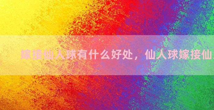 嫁接仙人球有什么好处，仙人球嫁接仙人掌方法