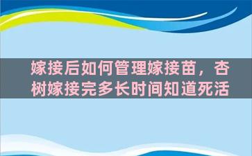 嫁接后如何管理嫁接苗，杏树嫁接完多长时间知道死活