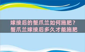 嫁接后的蟹爪兰如何施肥？蟹爪兰嫁接后多久才能施肥