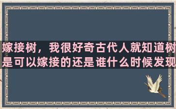 嫁接树，我很好奇古代人就知道树是可以嫁接的还是谁什么时候发现树可以嫁接