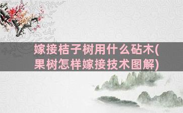 嫁接桔子树用什么砧木(果树怎样嫁接技术图解)