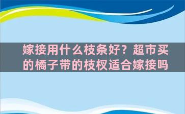 嫁接用什么枝条好？超市买的橘子带的枝杈适合嫁接吗