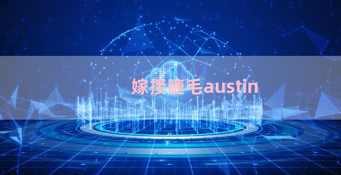 嫁接睫毛austin