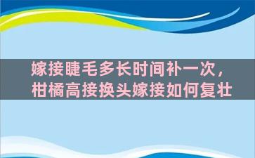 嫁接睫毛多长时间补一次，柑橘高接换头嫁接如何复壮