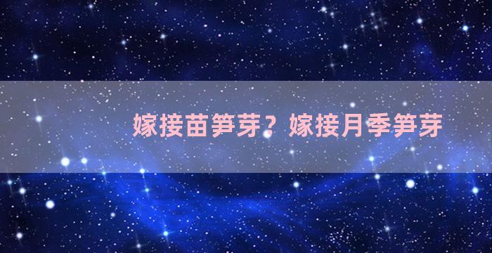 嫁接苗笋芽？嫁接月季笋芽