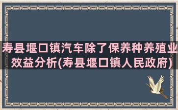 寿县堰口镇汽车除了保养种养殖业效益分析(寿县堰口镇人民政府)