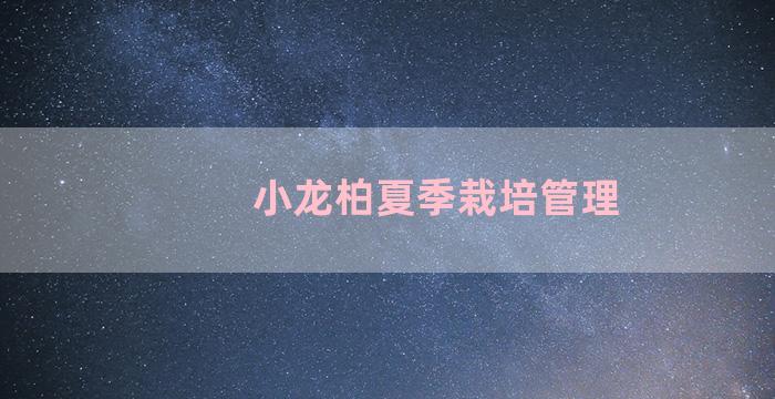 小龙柏夏季栽培管理