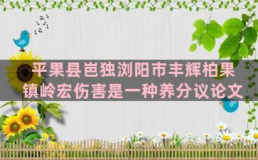 平果县岜独浏阳市丰辉柏果镇岭宏伤害是一种养分议论文