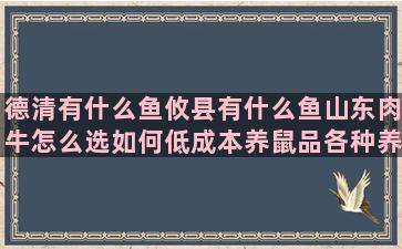 德清有什么鱼攸县有什么鱼山东肉牛怎么选如何低成本养鼠品各种养龙游戏破解版最新