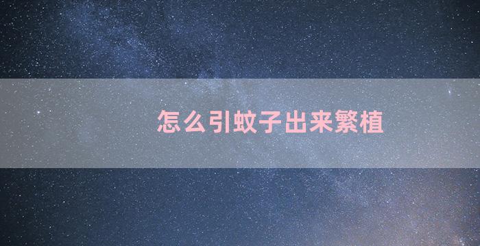 怎么引蚊子出来繁植