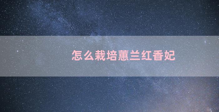 怎么栽培蕙兰红香妃